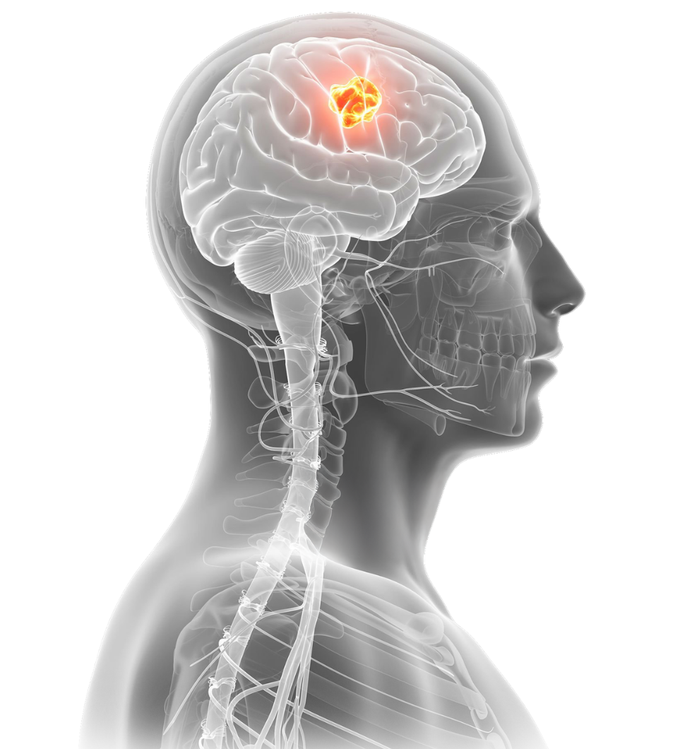 RTWS Round The World CME Series by SJMC
