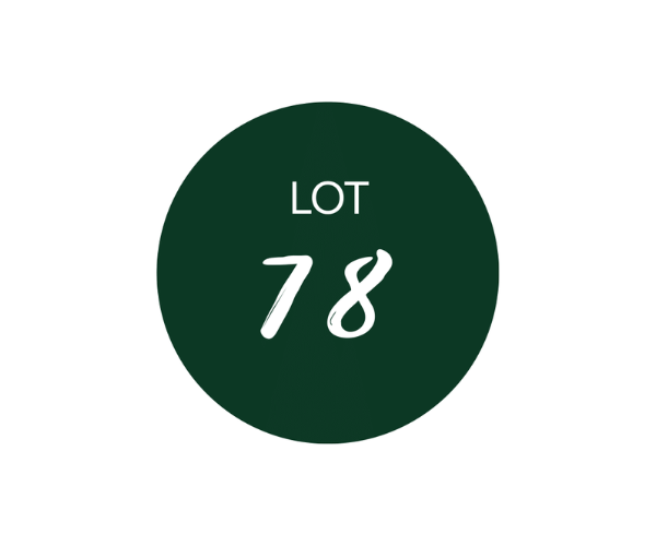 MySJMCMoment Video Campaign Sponsors by Lot78